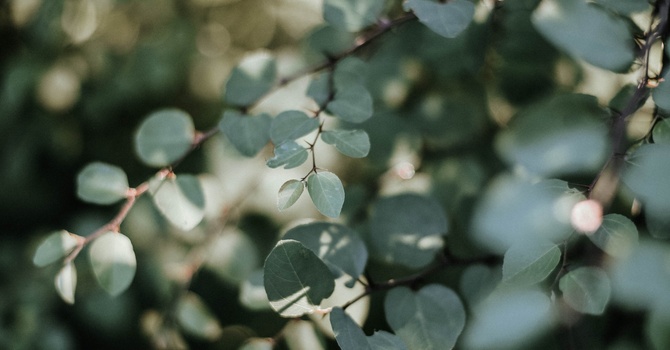 Golf Performance Assessment